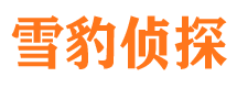 山西市侦探调查公司